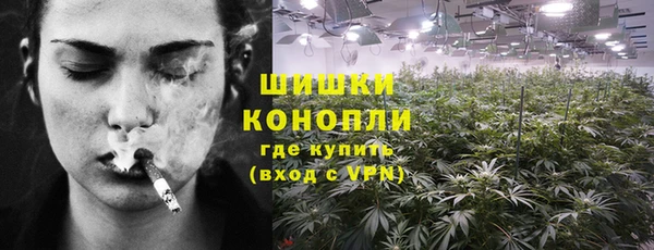 ПСИЛОЦИБИНОВЫЕ ГРИБЫ Балахна
